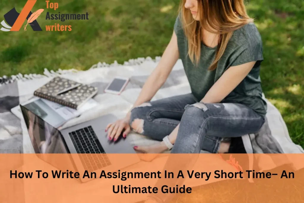 professional assignment writers in UK
